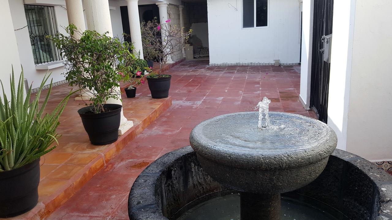 Rosas Cancún