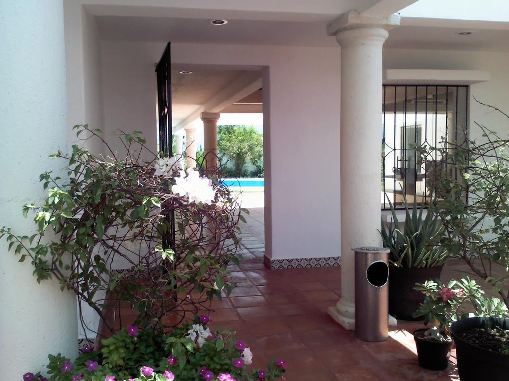 Rosas Cancun